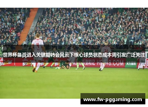 世界杯备战进入关键期转会风云下核心球员状态成本周引发广泛关注