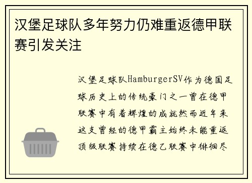 汉堡足球队多年努力仍难重返德甲联赛引发关注